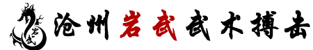 沧州散打俱乐部