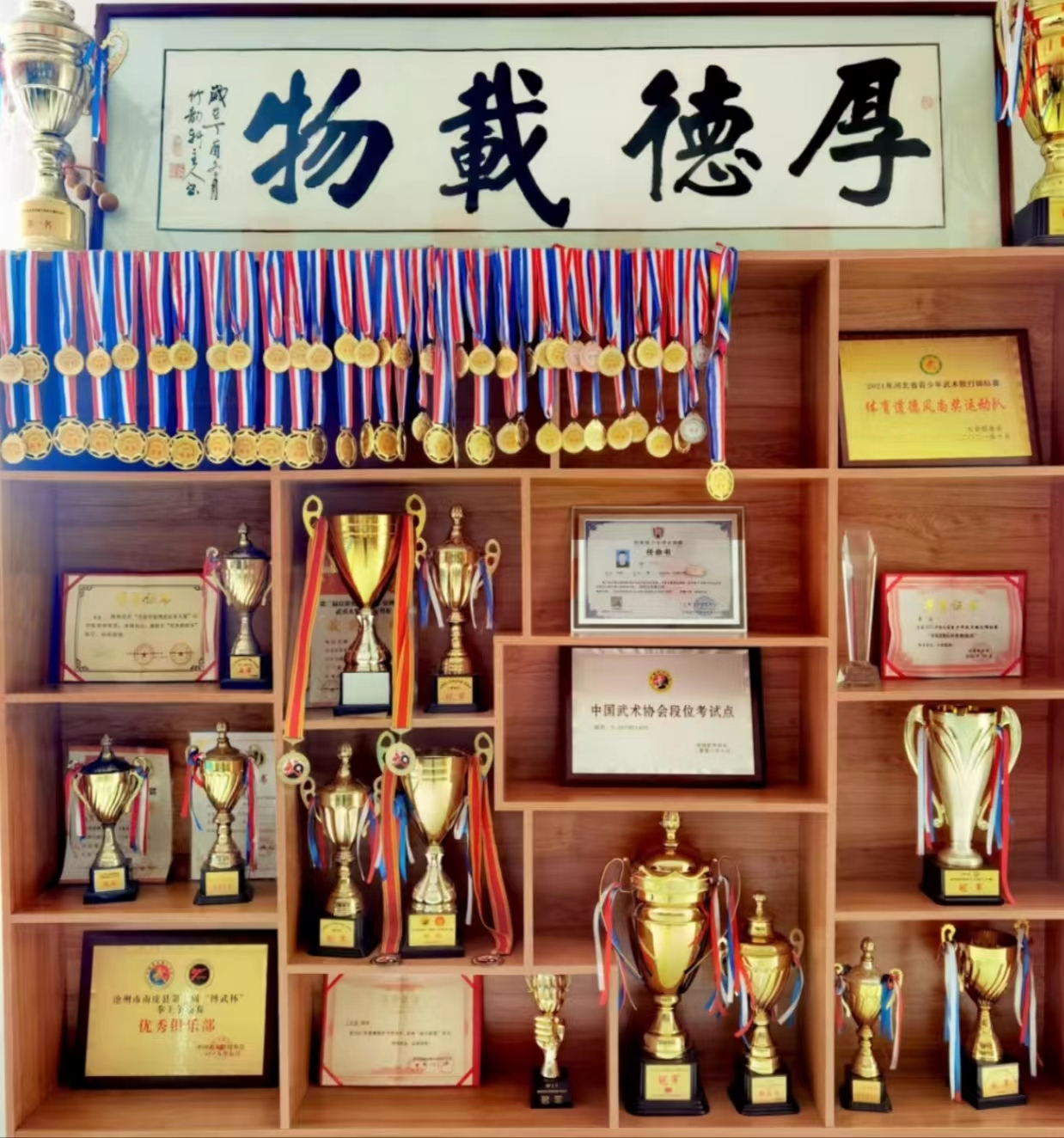 沧州岩武博击荣誉墙
